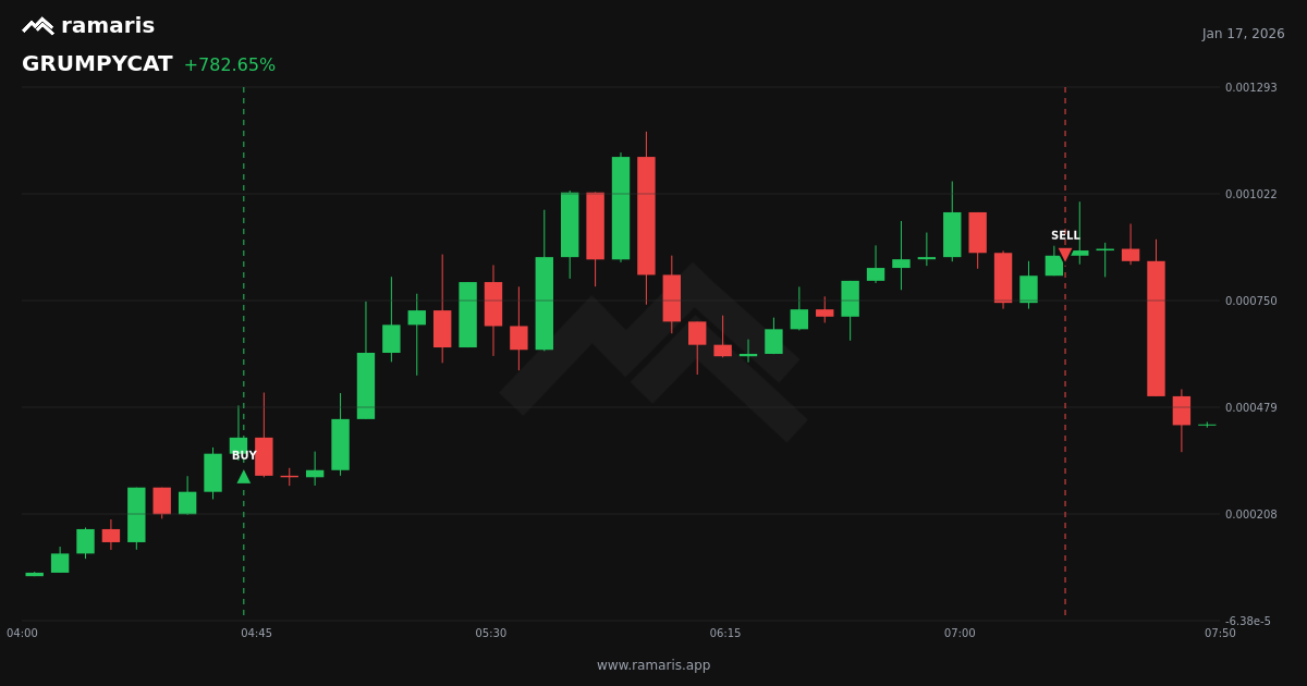 GRUMPYCAT trade: +783%